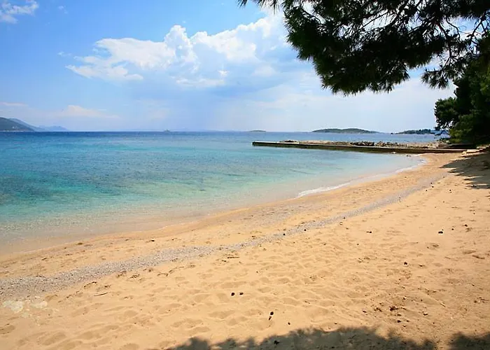 فيلة Paradise Lovište