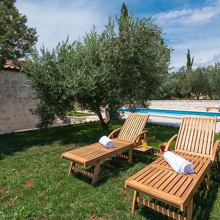 Paradise 로비스테